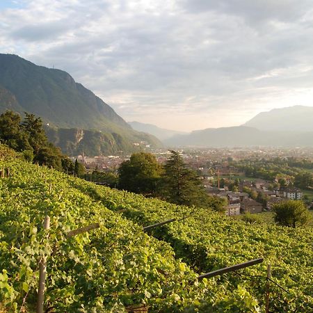 Weingut Messnerhof Apartment Bolzano Exterior photo