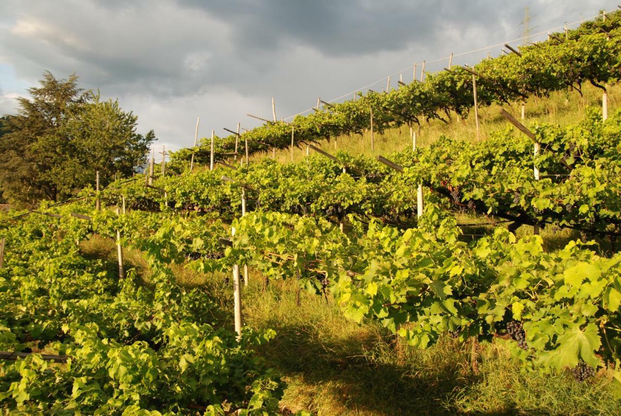 Weingut Messnerhof Apartment Bolzano Exterior photo