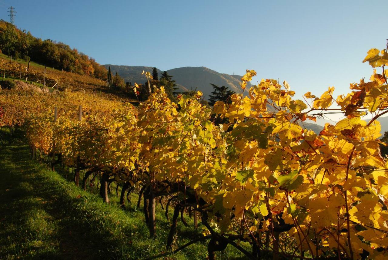 Weingut Messnerhof Apartment Bolzano Exterior photo